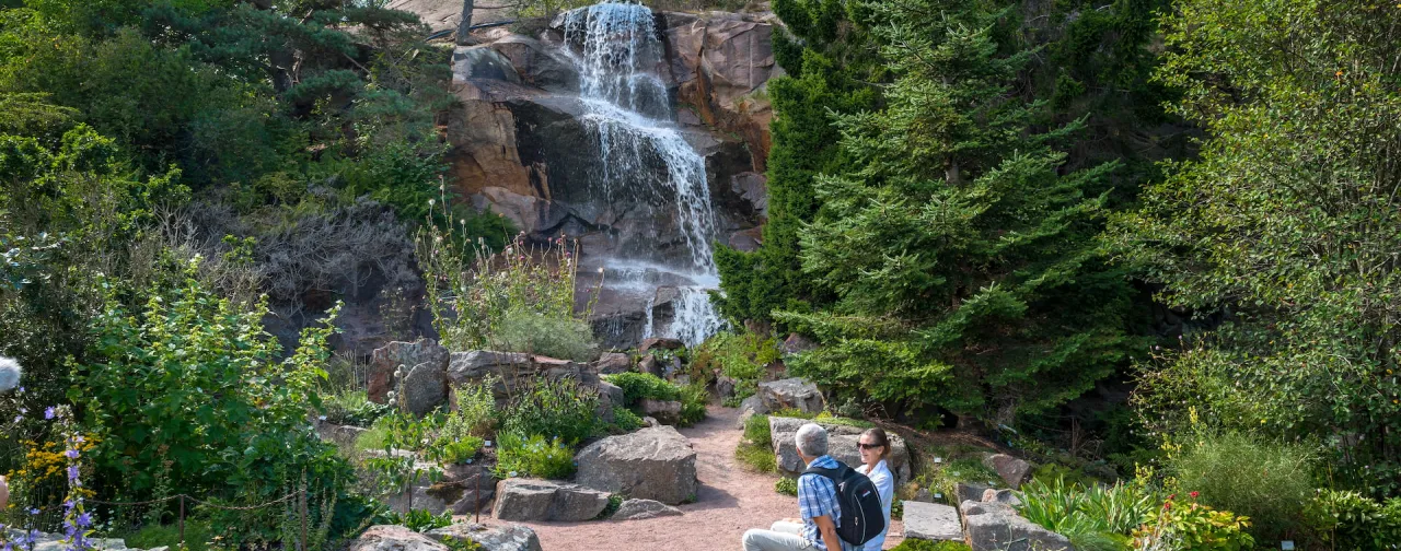 Botaniska Trädgården i Göteborg – en grön oas med vattenfall, lummiga växter och avkopplande promenadstigar.
