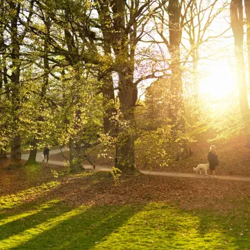 Slottsskogen i Göteborg – lummig stadspark perfekt för promenader, avkoppling och naturupplevelser.